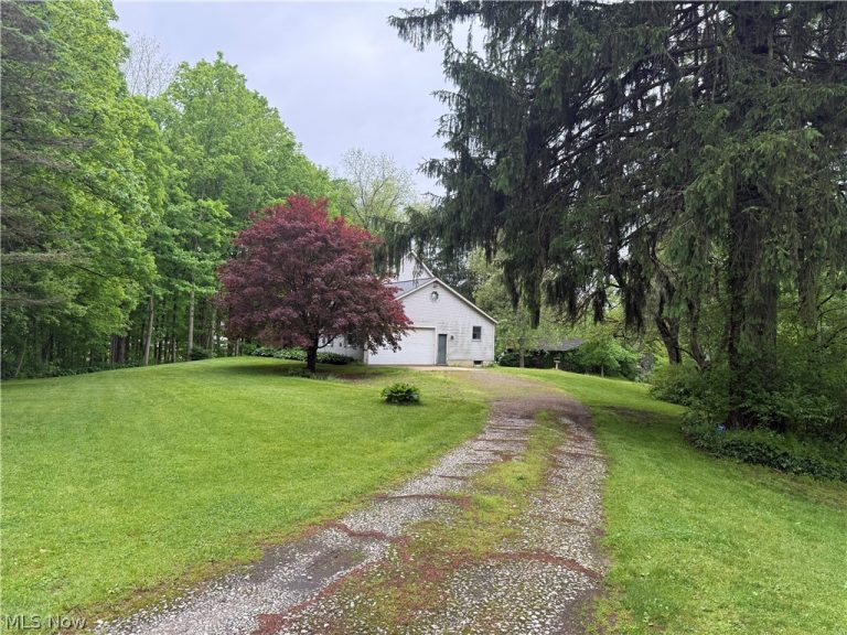 11165 Peck Road, Mantua, OH - Photo 4
