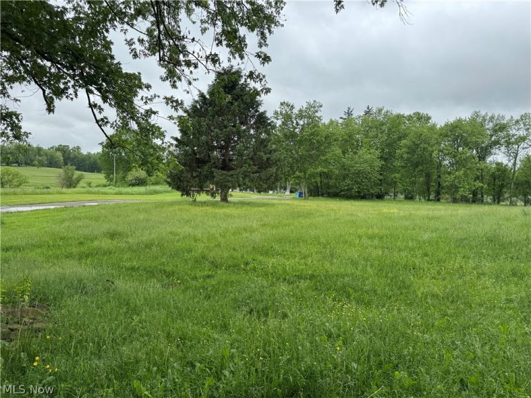 2320 Leetonia Road, Leetonia, OH - Photo 4