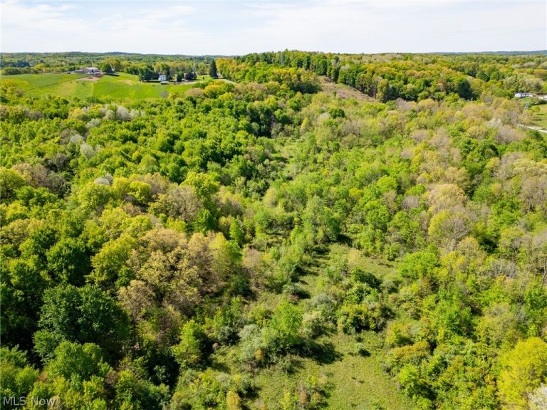 11154 Shetler Avenue #4, Bolivar, OH, 44612