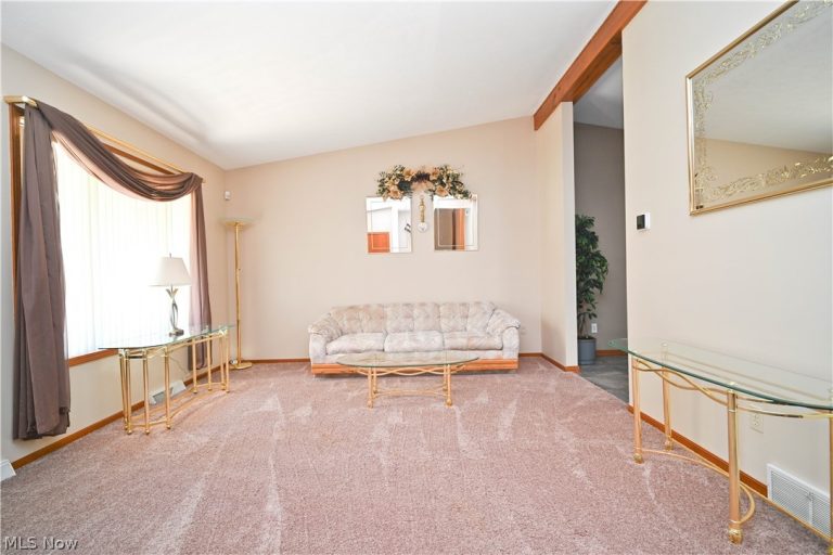 3608 Meander Reserve Circle, Canfield, OH - Photo 5