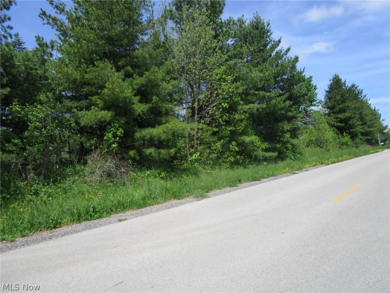 VL Doyle Road, Jefferson, OH - Photo 4