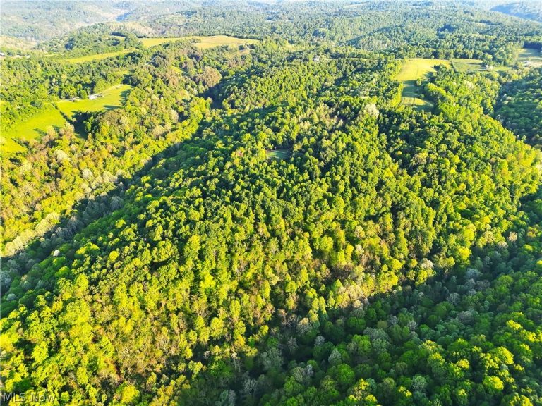 Crum Ridge Rd, Caldwell, OH - Photo 3