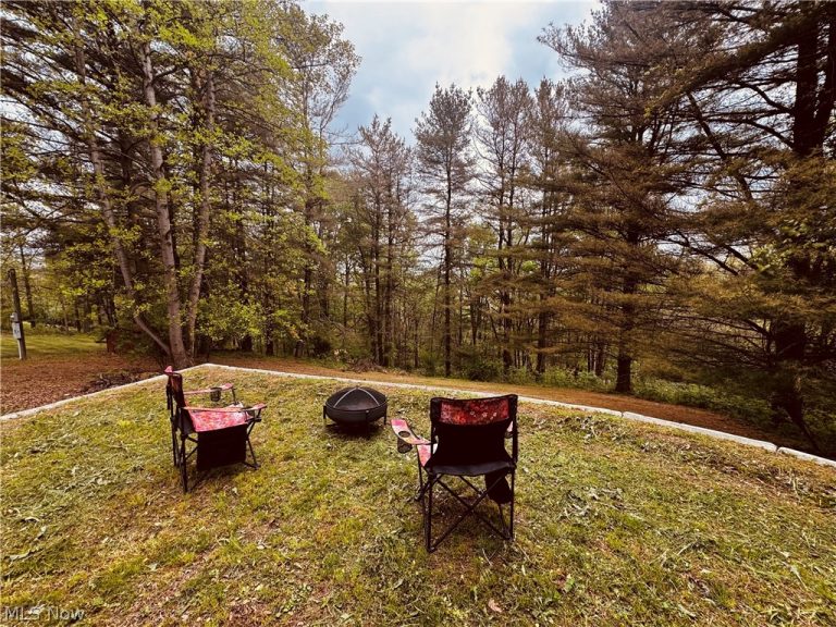 71100 Skyline Drive, Piedmont, OH - Photo 3