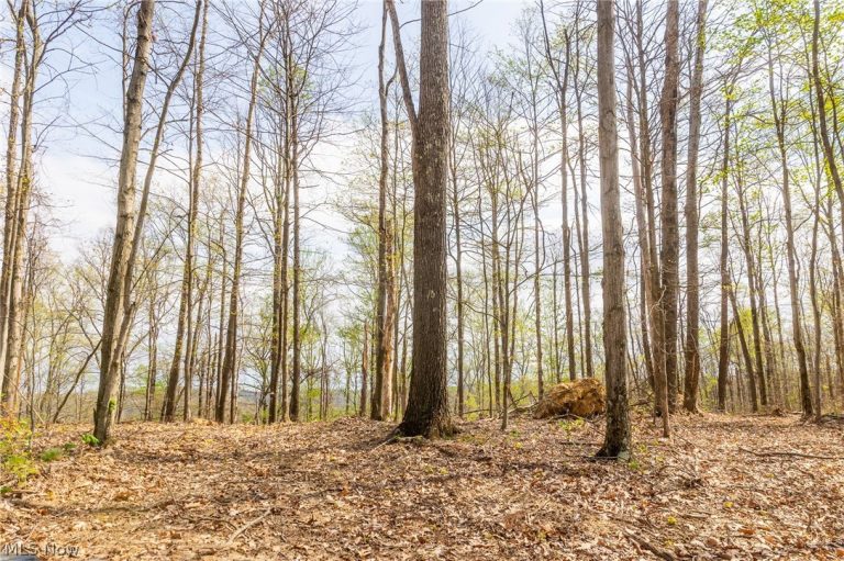 Twp Rd 63 Deans Fork Rd #5, Whipple, OH - Photo 8