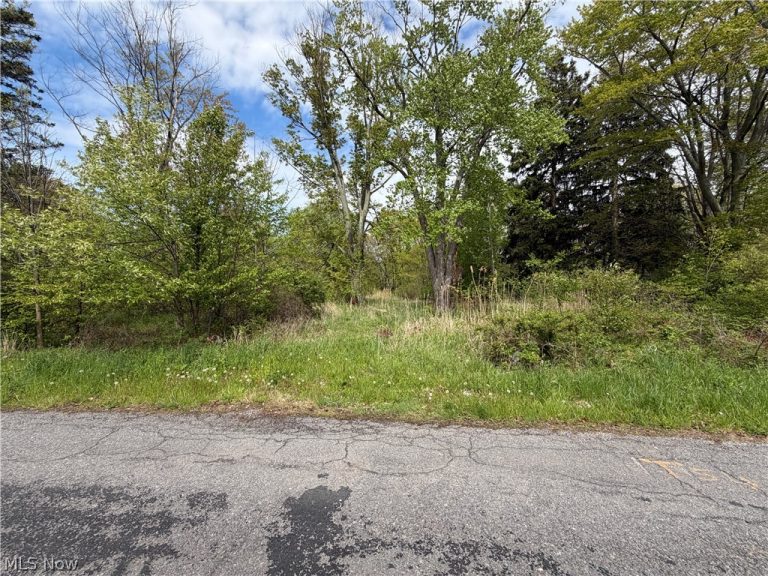 1445 Parkview Drive, Madison, OH - Photo 4