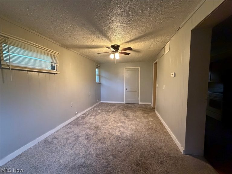 1115 Mckinley Street, Warren, OH - Photo 8