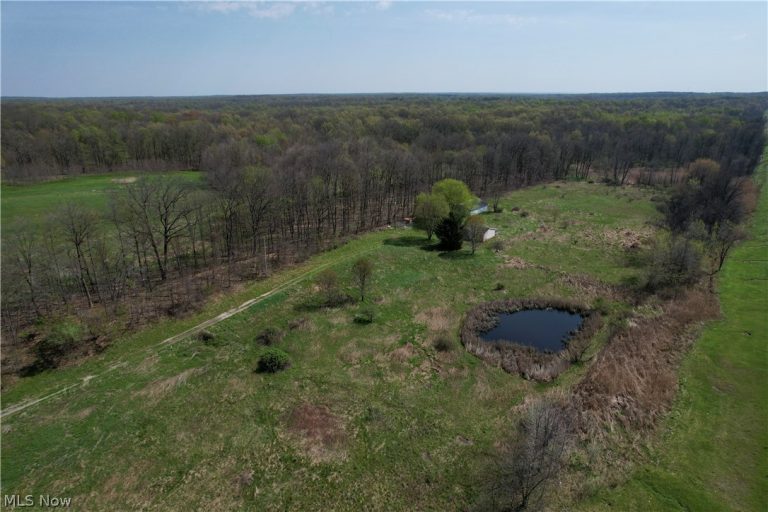 9200 Horn Road, Windham, OH - Photo 5
