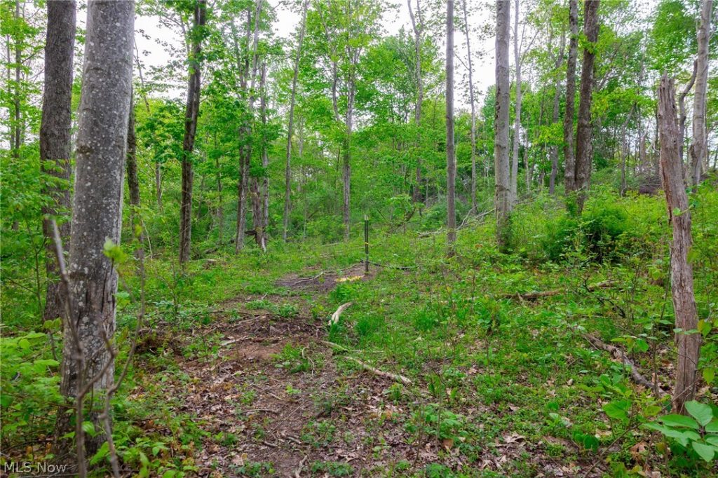 37795 Sheep Skin Ridge, Lower Salem, OH