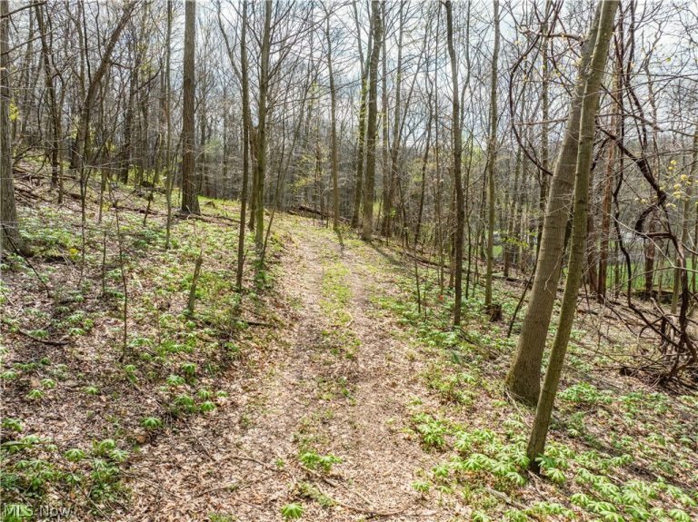 8480 Possum Hollow Road, Dundee, OH - Photo 8