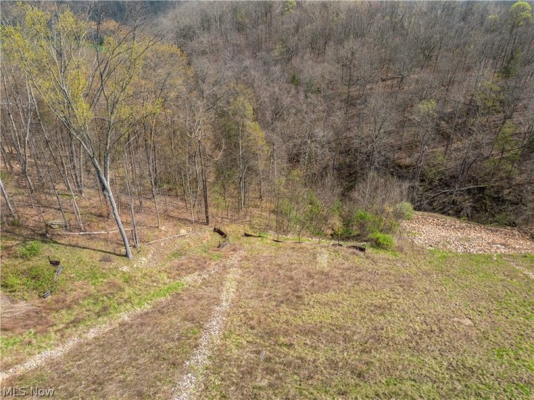 Captina Highway Road, Alledonia, OH, 43902