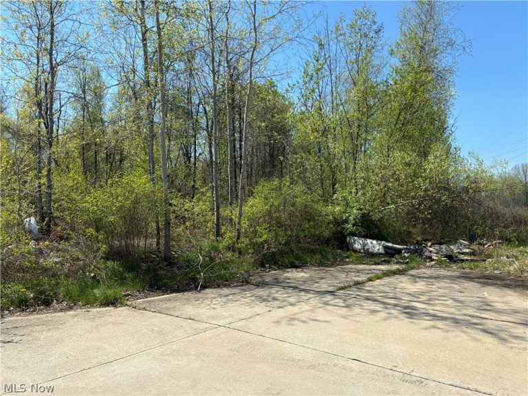 Sferra Avenue, Warren, OH, 44483
