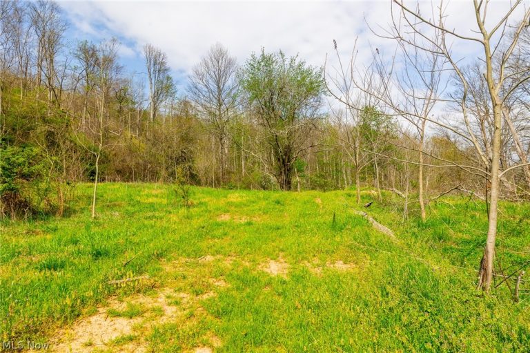 Twp Rd 63 Deans Fork #3, Whipple, OH - Photo 6