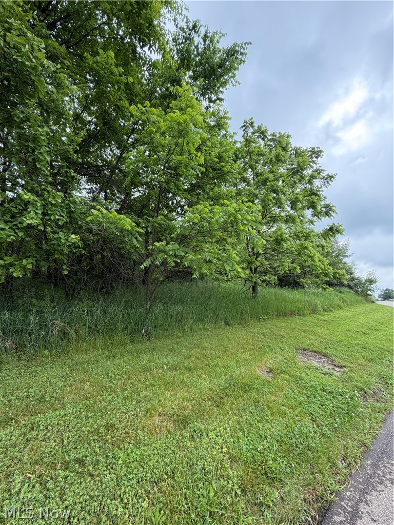 La Font Circle, Bolivar, OH - Photo 3