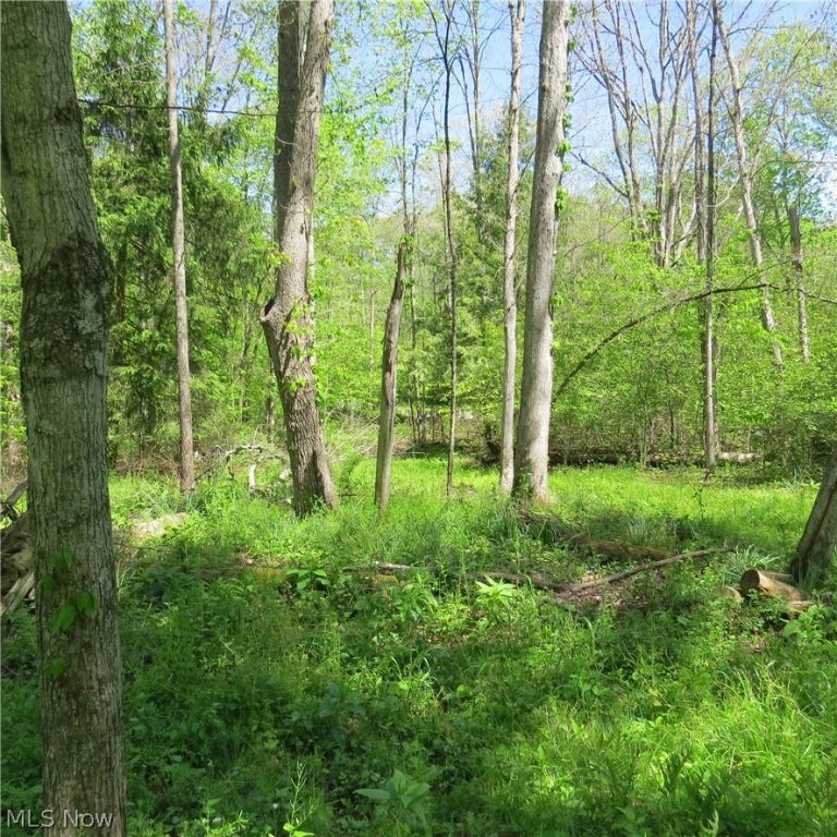 Montero Road, Carrollton, OH - Photo 2