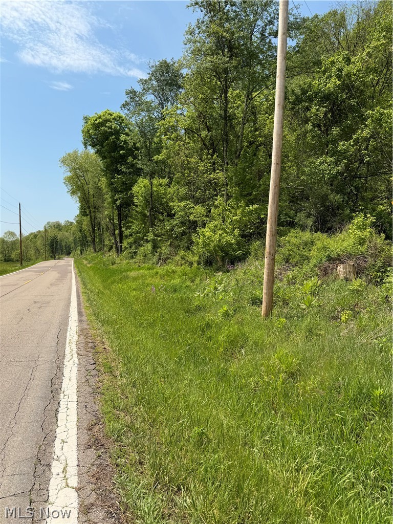 Harrietsville SR 145 Road, Lower Salem, OH - Photo 3