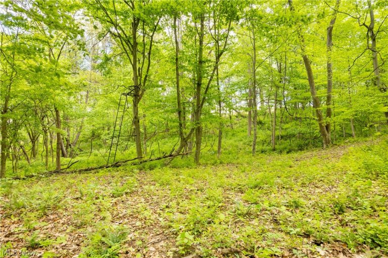 Township Road 250, Newcomerstown, OH - Photo 6