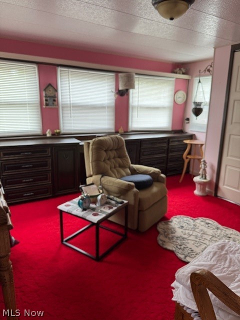 1705 28 Street #42, Ashtabula, OH - Photo 5