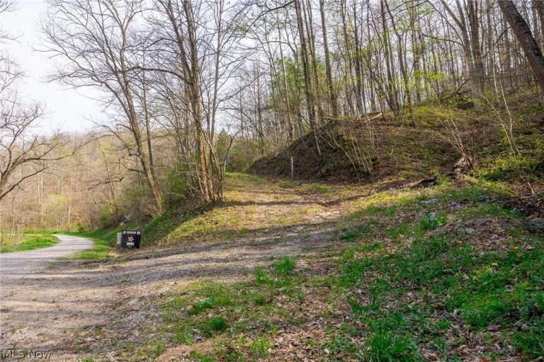 2115 Goss Fork Rd #1, Whipple, OH - Photo 6
