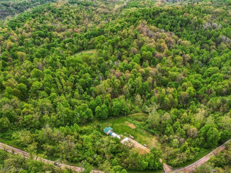 49250 Cowgill Road, Sarahsville, OH - Photo 5