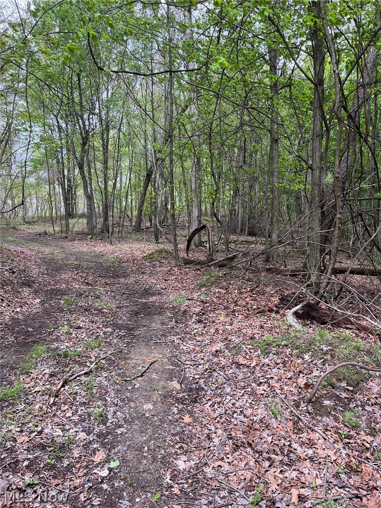Sandy Ridge Road, Tippecanoe, OH