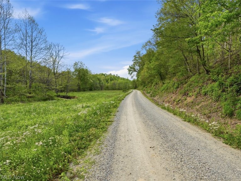 Pratts Run Road, Clarington, OH - Photo 4