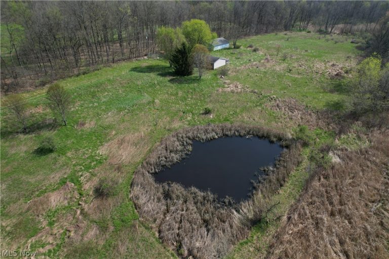 9200 Horn Road, Windham, OH - Photo 4