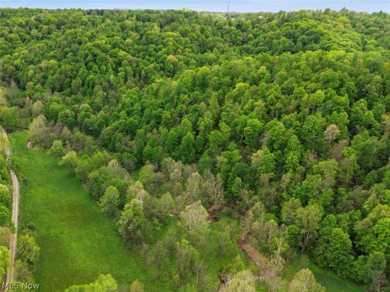 Pratts Run Road, Clarington, OH - Photo 5