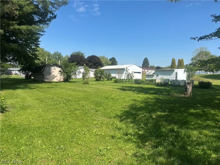 9095 Southview Street, Minerva, OH - Photo 8
