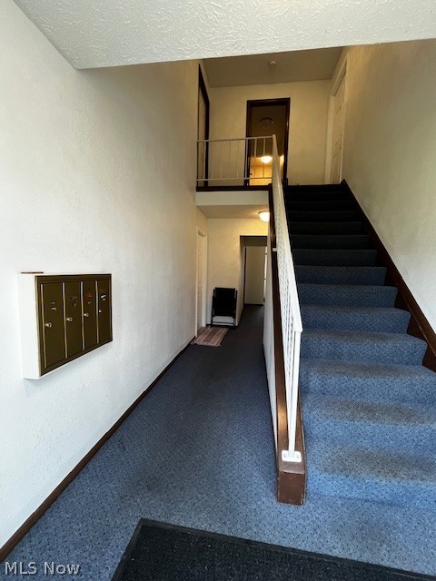 62 Carter Circle #3, Boardman, OH - Photo 2