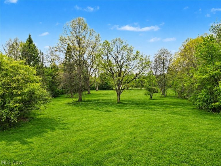 1123 Hametown Road, Akron, OH - Photo 4