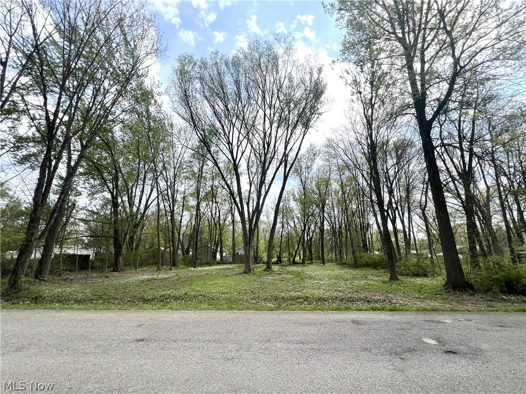 Afton Avenue, Lake Milton, OH