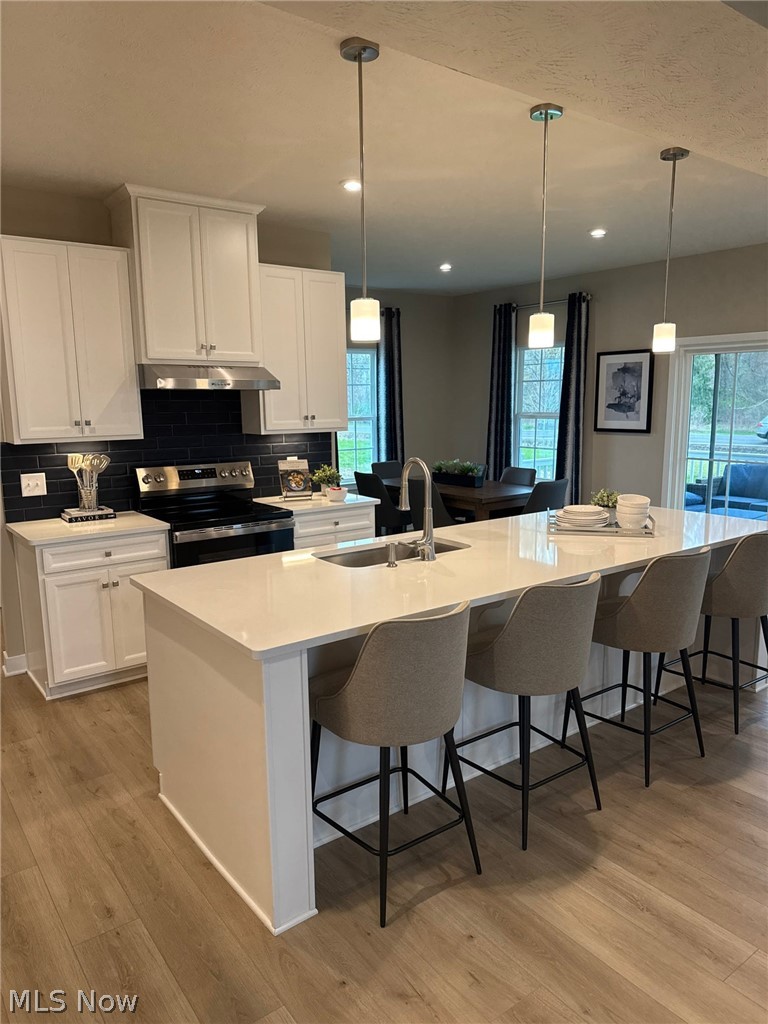 1012 Ashford Court, Columbia Station, OH - Photo 8