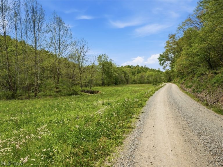 Pratts Run Road, Clarington, OH - Photo 6