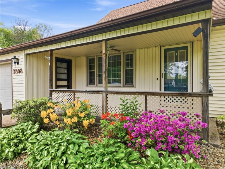 3898 New Road, Austintown, OH - Photo 4