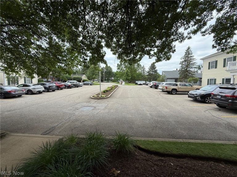 255 Park Place, Chagrin Falls, OH - Photo 5