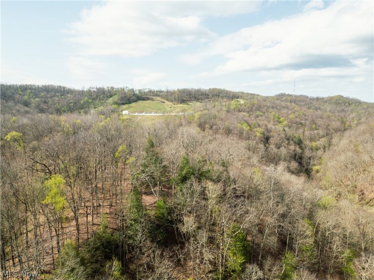 Captina Highway Road, Alledonia, OH - Photo 2