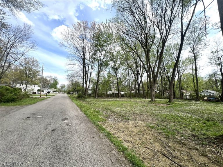 Afton Avenue, Lake Milton, OH - Photo 3