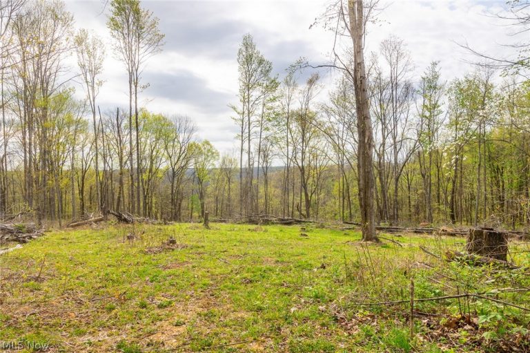 2115 Goss Fork Rd #2, Whipple, OH - Photo 4