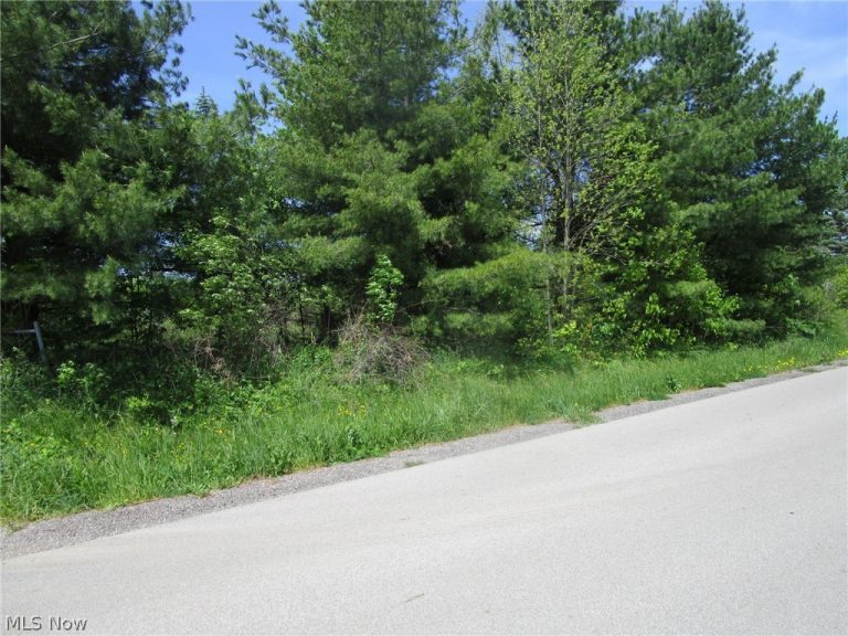 VL Doyle Road, Jefferson, OH - Photo 3