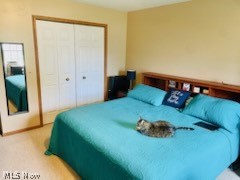 965 Bryant Drive, Vermilion, OH - Photo 8