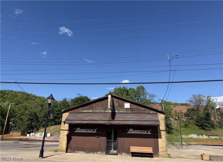 202 North Chester Street, New Cumberland, WV, 26047