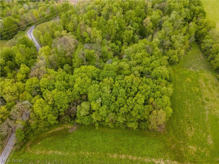 V/L Westfall Street, East Canton, OH - Photo 2
