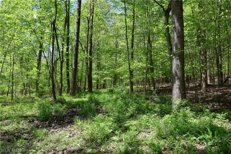 County Road 33, Warsaw, OH - Photo 5