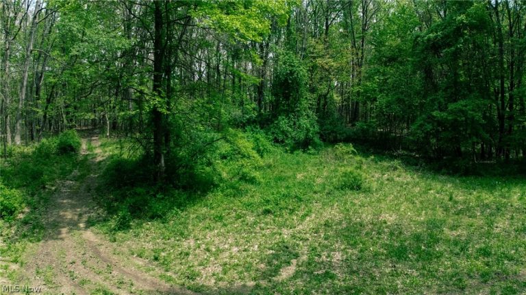 V/L Surfside Dr, Coventry, OH - Photo 6