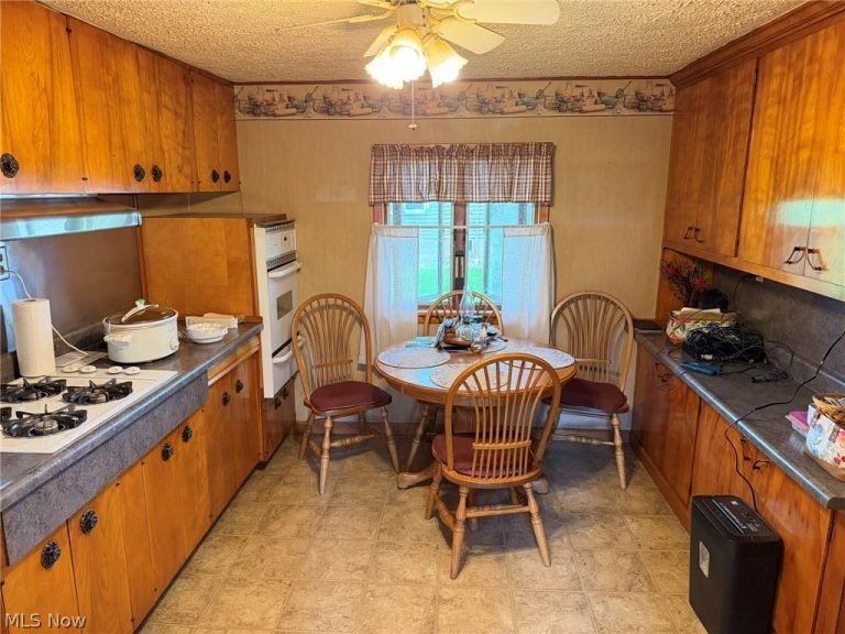 59 Buckeye Street, West Salem, OH - Photo 6