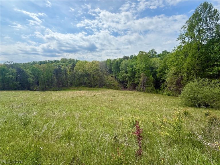 County Line Road, St Marys, WV, 26170