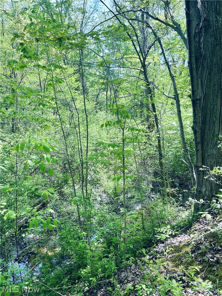 Bates Road, Madison, OH - Photo 3