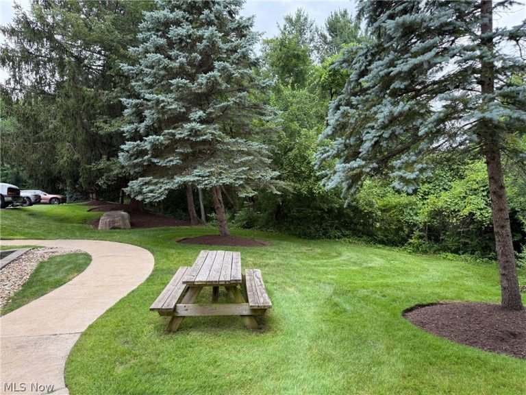 255 Park Place, Chagrin Falls, OH - Photo 8