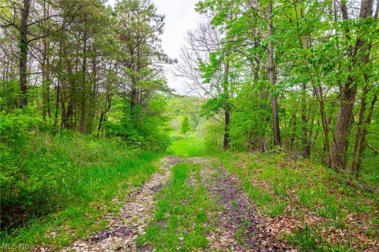 60936 Patch Road, New Concord, OH, 43762