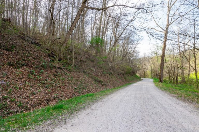 2115 Goss Fork Rd #1, Whipple, OH - Photo 8